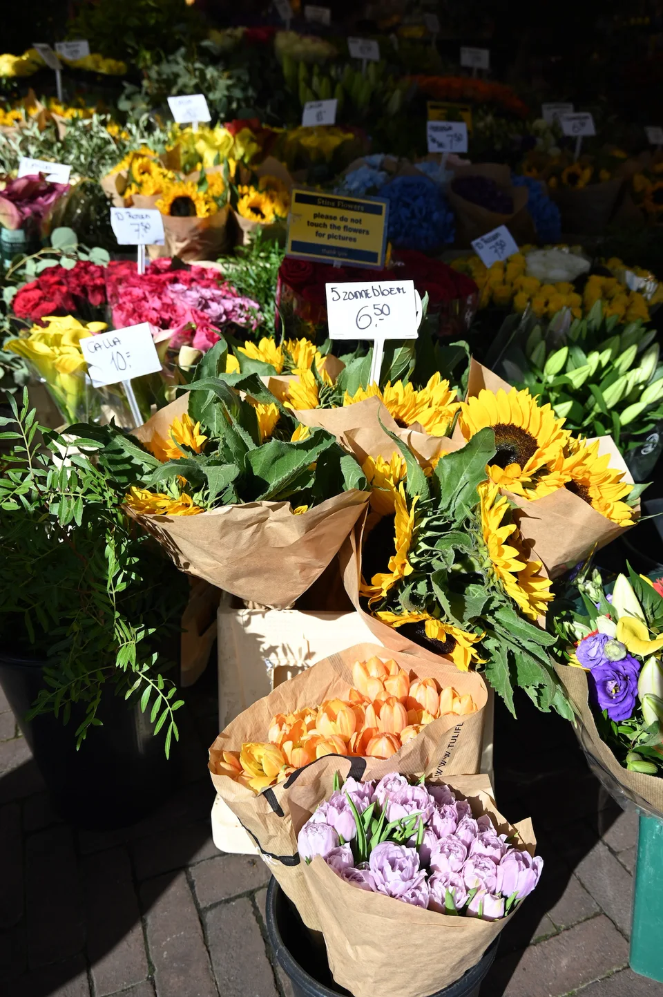 Baldes de girassóis e outras flores em um mercado