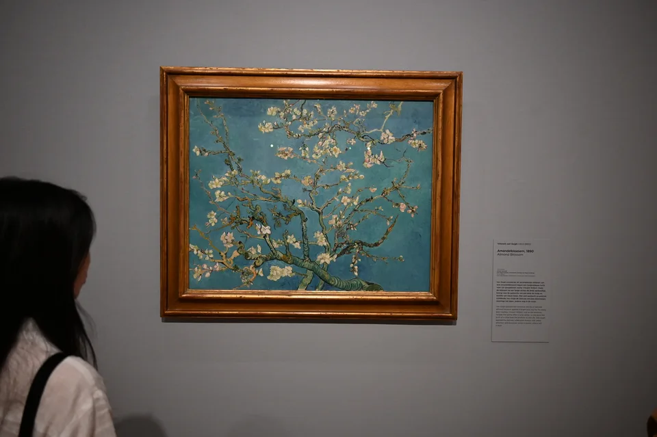 Amendoeira em flor, de Van Gogh, em uma parede do museu