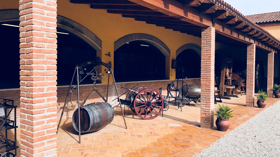 Barrels and the terrace outside Agustí Torelló Mata