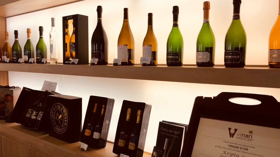 Cava bottles arranged on a tasting-room shelf
