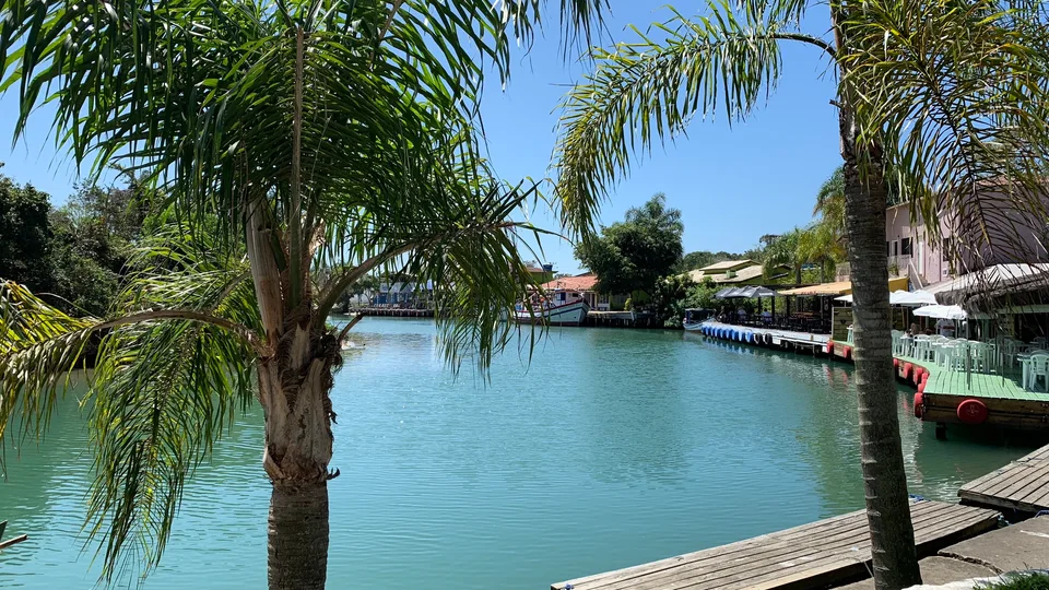 Palm trees beside the green-water channel at Barra da Lagoa