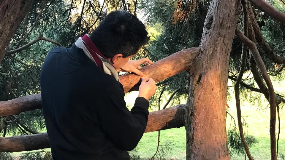 Alex gravando iniciais na madeira entre árvores na propriedade de Versalhes