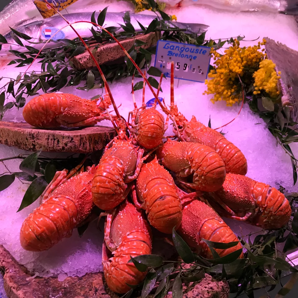 Lagostas vermelhas e frutos do mar sobre gelo num balcão de mercado parisiense