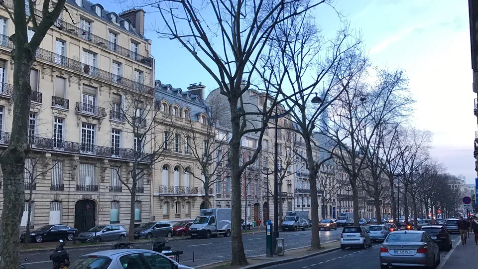 Fachadas claras de apartamentos e árvores sem folhas numa avenida larga de Paris