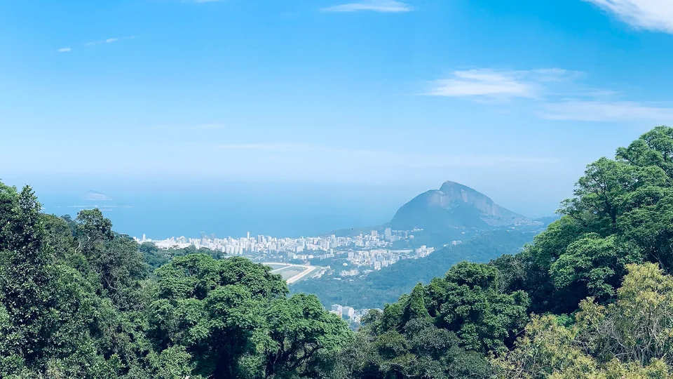 Forest canopy with Rio’s buildings and Sugarloaf in the distance