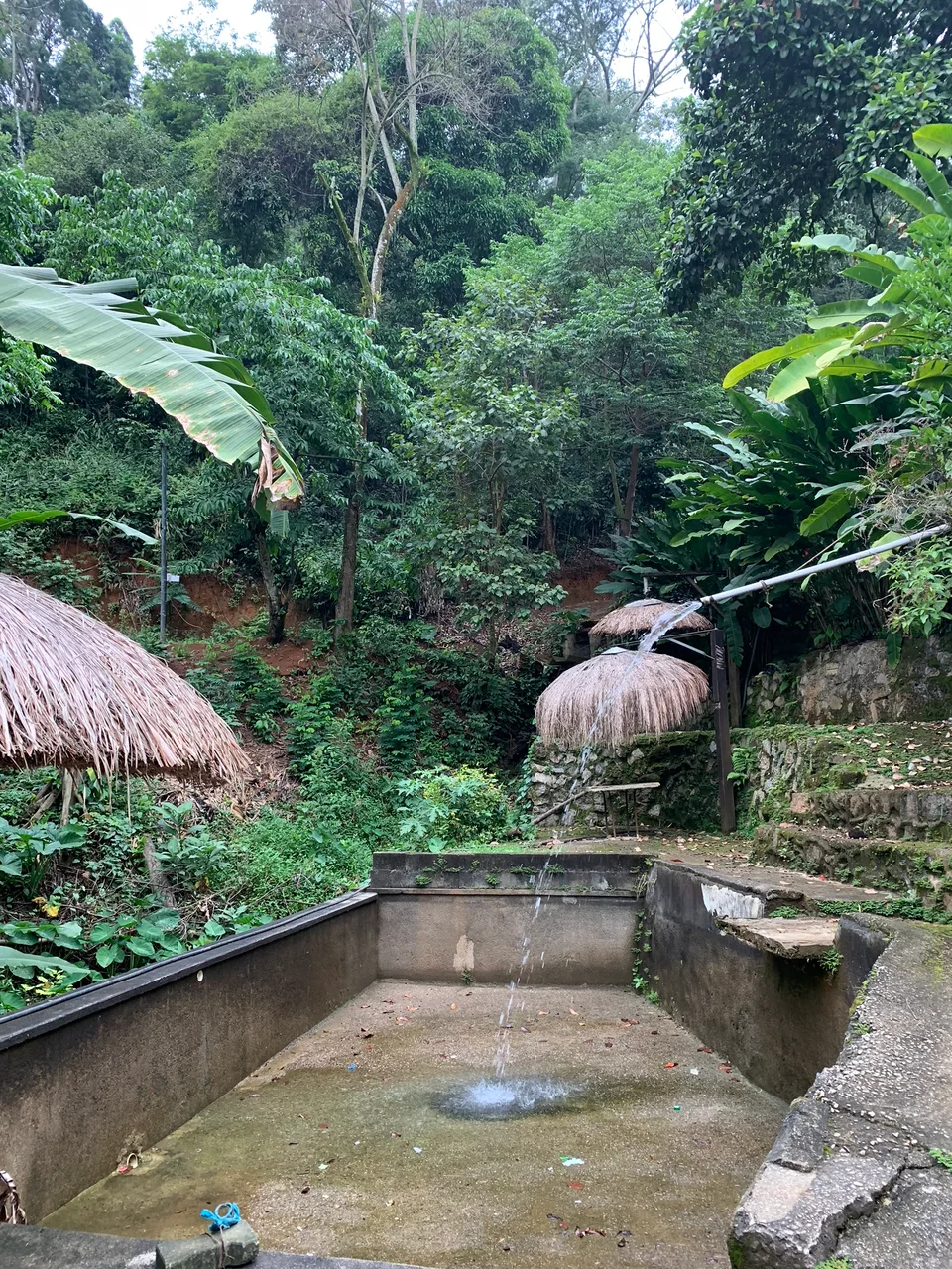 A small stone fountain surrounded by dense greenery in Petrópolis